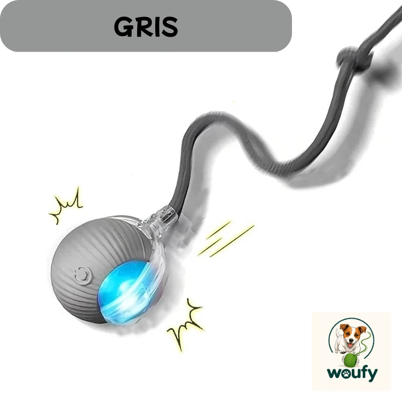 https://cdn.dropmagic.ai/medias/46ddd9c4-edfa-4fe9-8214-1eeb915ffc73.webp