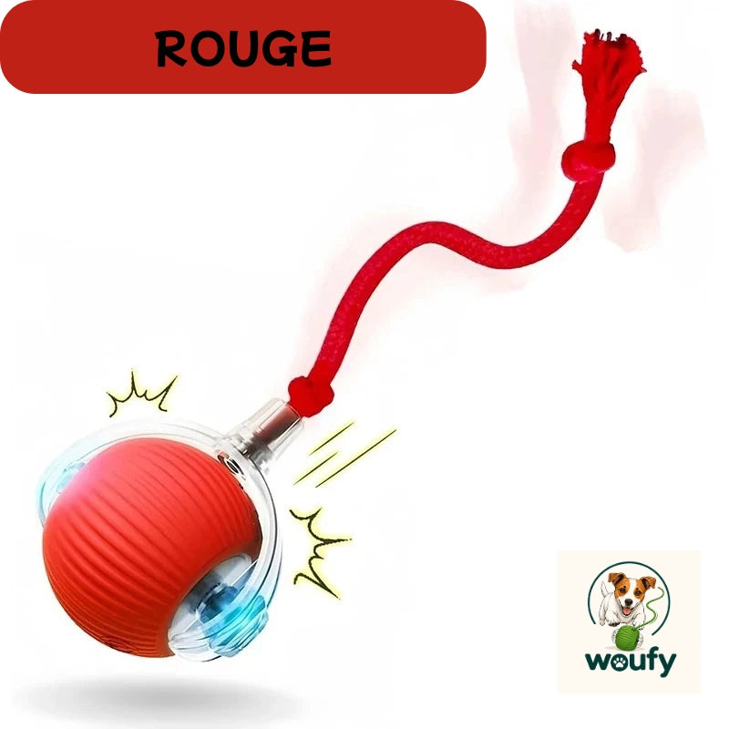 https://cdn.dropmagic.ai/medias/cf20adcc-5975-4d29-8e1e-b1325bd3797a.webp